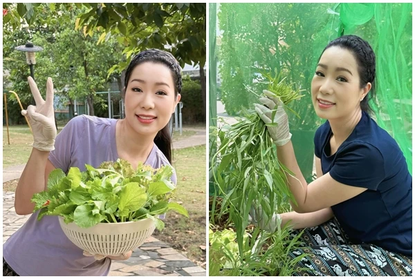 Khám phá vườn rau xanh mướt trong biệt thự của NSND Trịnh Kim Chi
