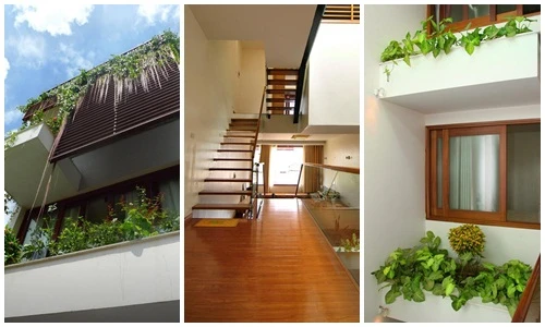 Nhà ống 4 tầng có hồ cảnh tuyệt đẹp ở Hà Nội