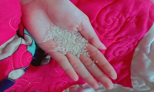 Nữ sinh sư phạm "nghiện" ăn gạo sống gây choáng