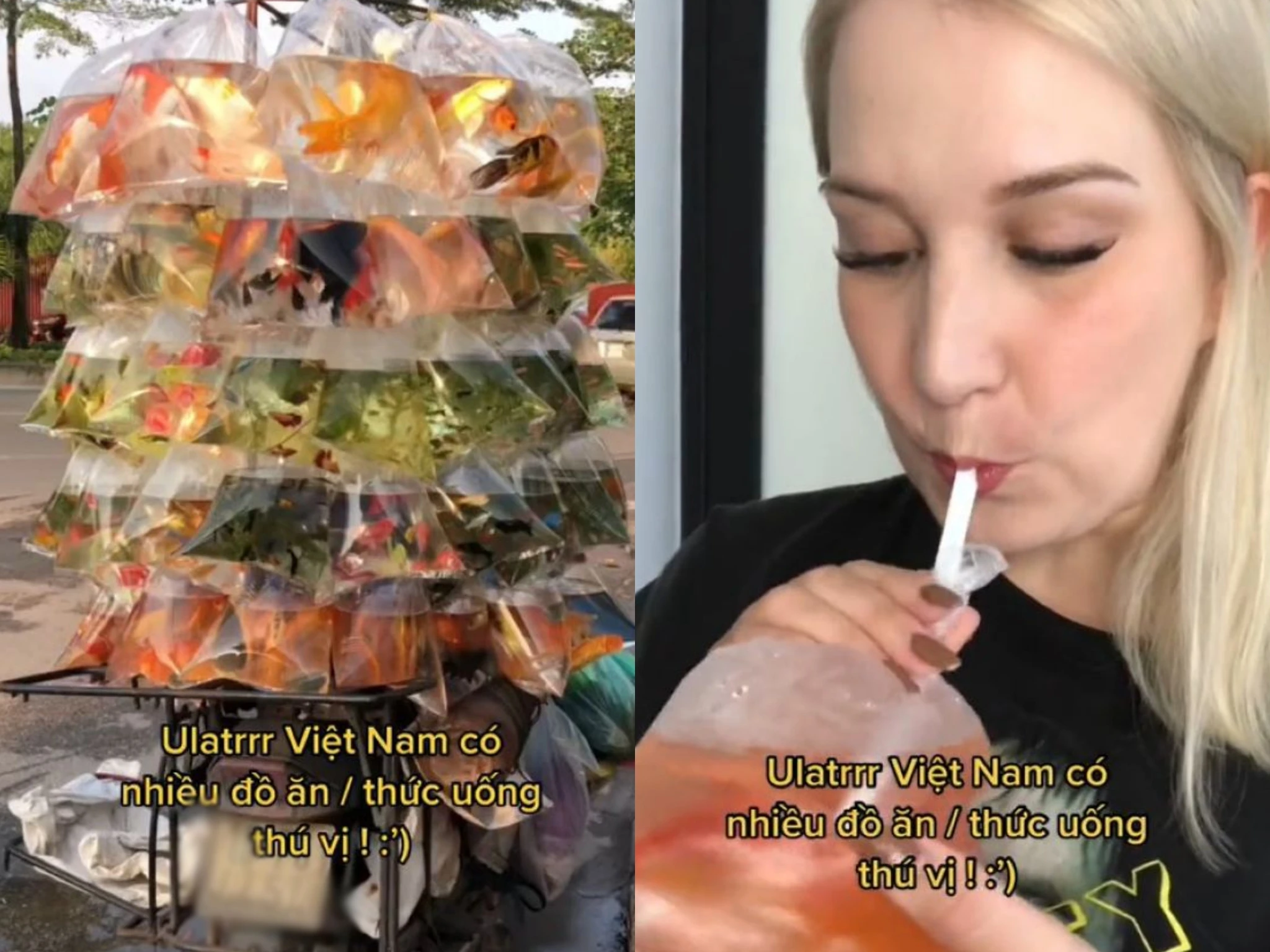 TikToker nước ngoài nhầm túi bán cá là đồ uống đường phố Việt Nam