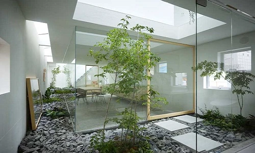 Khó tin nhà ống 42m2 có sân vườn giữa nhà xanh mướt