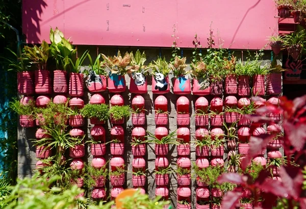 Ngôi nhà màu hồng “nổi bần bật” giữa TP HCM 