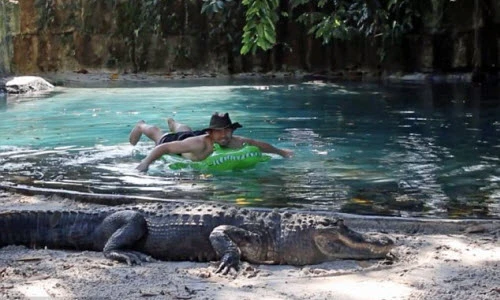 Chàng trai mạo hiểm đùa giỡn với cá sấu khổng lồ