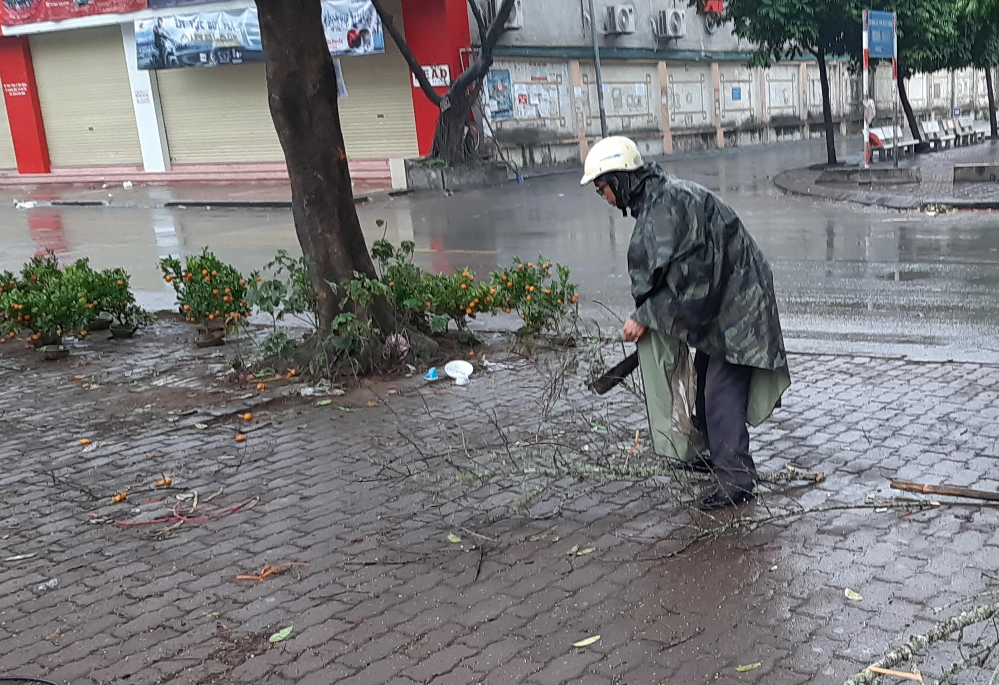 Chảy nước mắt cảnh đào, quất bị tiểu thương đập bỏ chiều 30 Tết