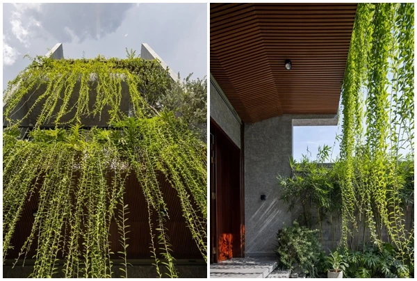 Có gì trong nhà ống phủ “rèm cây” lạ mắt ở Quảng Ninh?