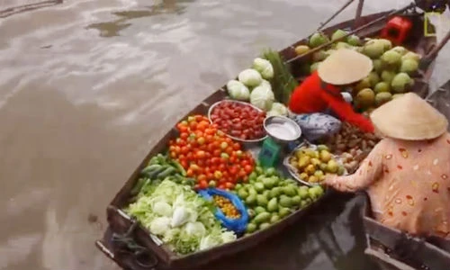 Clip 90 ngày sống thú vị trên dòng sông Mekong