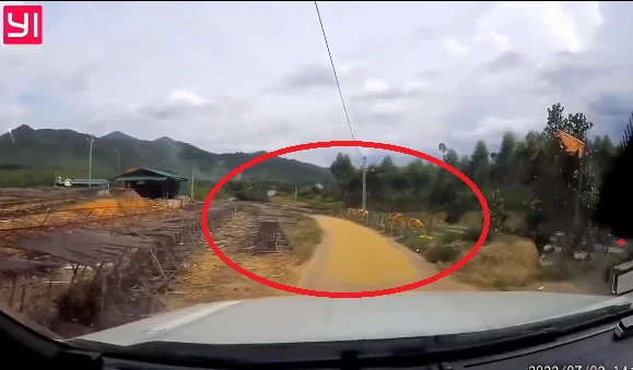 Nông dân phơi thóc giữa đường, tài xế bức xúc lên mạng kêu than