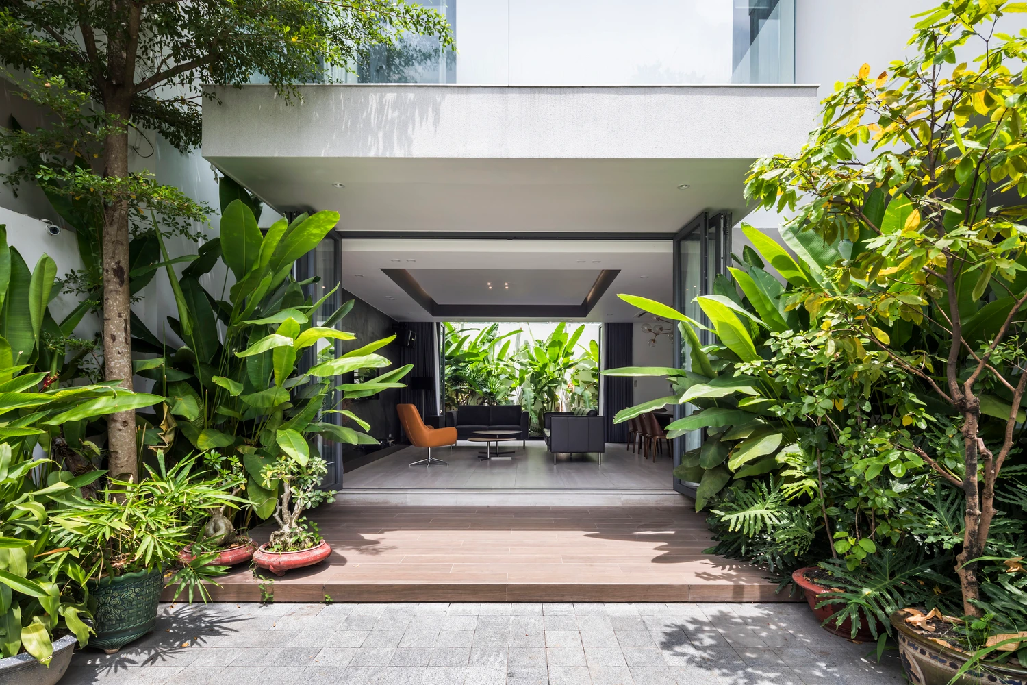 Nhà phố 3 tầng như rừng nhiệt đới giữa Sài thành 