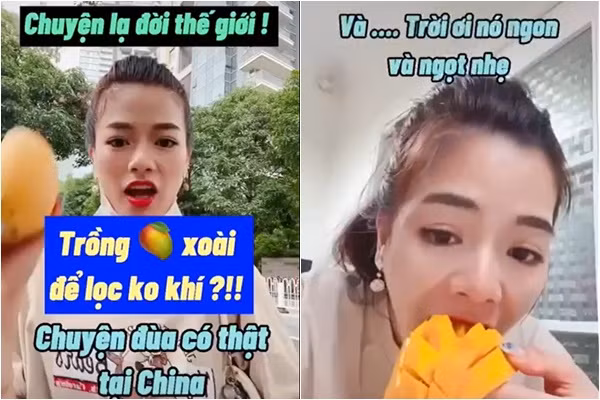 Gái Việt ở Trung Quốc khoe xoài mọc đầy đường nhưng lại không được ăn