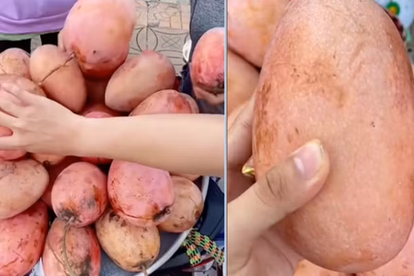 Quả xoài màu hồng lên sóng, thanh niên hỏi bị netizen dọa xanh mặt