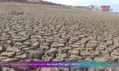 Hình ảnh đáng sợ ở sa mạc khốc liệt nhất Việt Nam