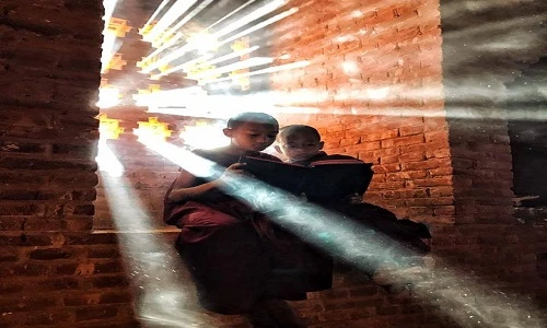 Chú tiểu đọc sách dưới ánh nắng tuyệt đẹp gây mê mẩn