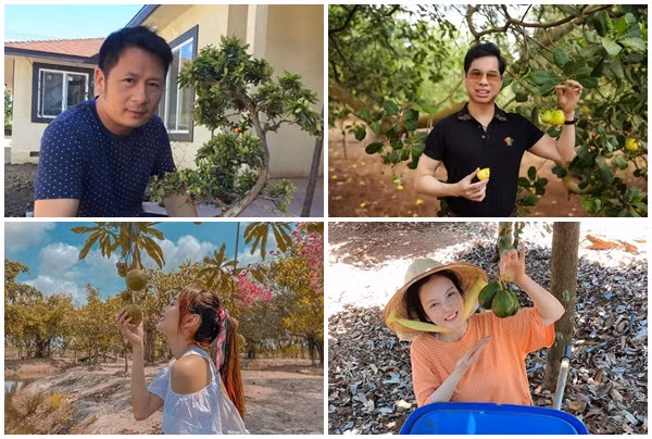 Mỏi mắt ngắm khu vườn tiền tỷ của sao Việt