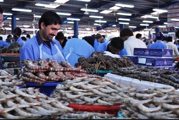 Bên trong chợ hải sản vừa tươi vừa rẻ ở nước nhà giàu Dubai 