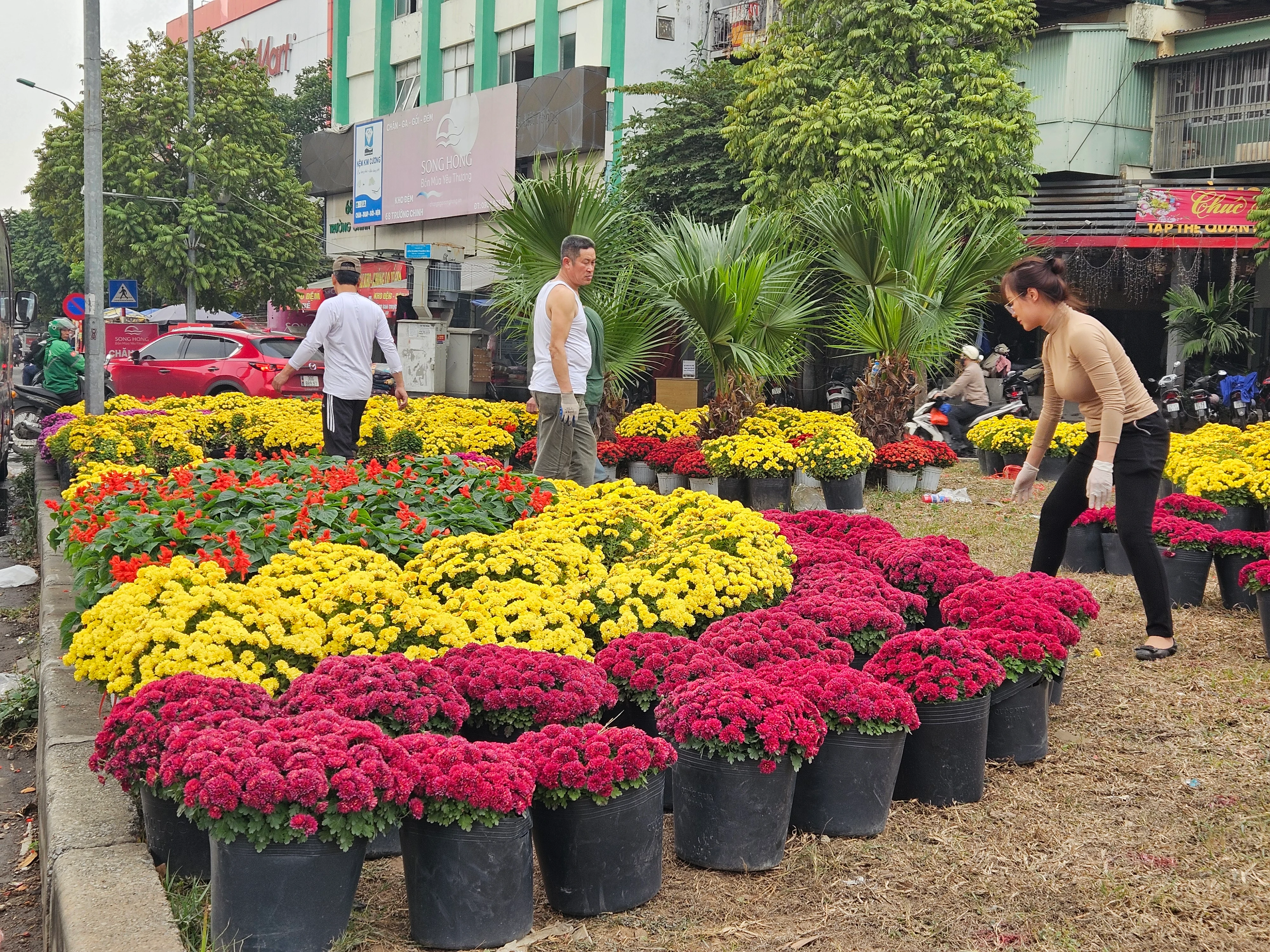 Cận cảnh điểm rác “chui” biến thành vườn hoa sẵn sàng đón Tết
