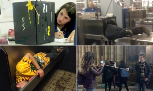 Hành động khó hiểu, gây sốc của người "ngã cây"