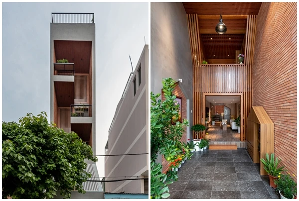 Chỉ 3,5m, nhà Sài Gòn tiện nghi chẳng kém khu nghỉ dưỡng 