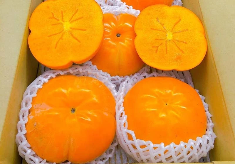 3 giống hồng Nhật siêu đắt đỏ vẫn cháy hàng