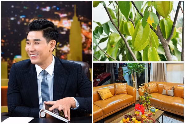 Ngắm hoa trái bên trong căn hộ của MC giàu nhất nhì showbiz Việt