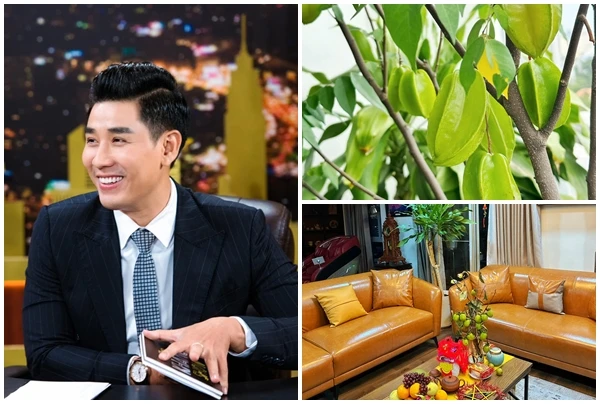 Ngắm hoa trái bên trong căn hộ của MC giàu nhất nhì showbiz Việt