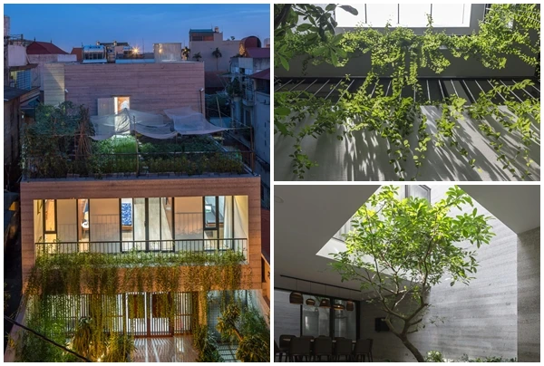 Xây trên đất méo, nhà Hà Nội vẫn đẹp “không góc chết” 