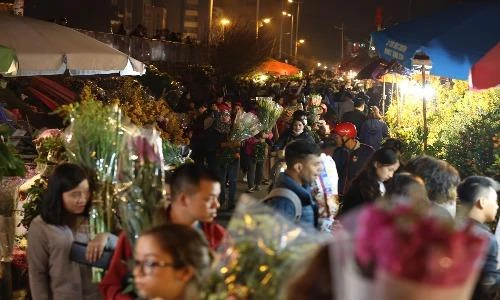 Chợ hoa lớn nhất Hà Nội sôi động đêm trước Tết Nguyên đán 2019