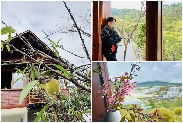 Bên trong nhà mới giữa rừng ngập hoa cỏ của MC Đại Nghĩa 