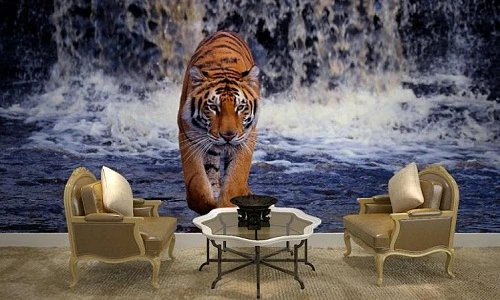 Phát hoảng vì thú dữ "đột nhập" vào giữa nhà