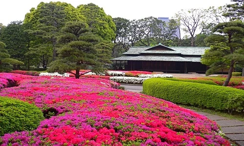 Ngắm khu vườn xanh mướt trong cung điện Hoàng gia Nhật Bản