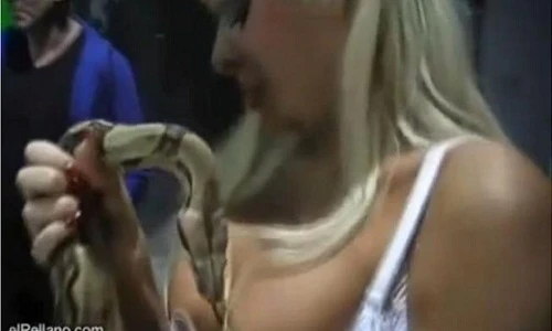 Những con vật nổi tiếng như cồn vì thích “sờ ngực” người đẹp