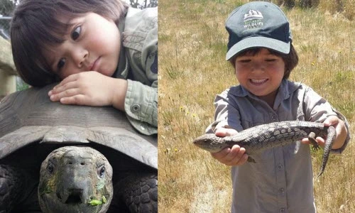 Bé 5 tuổi thu phục nhiều động vật hung dữ dễ dàng