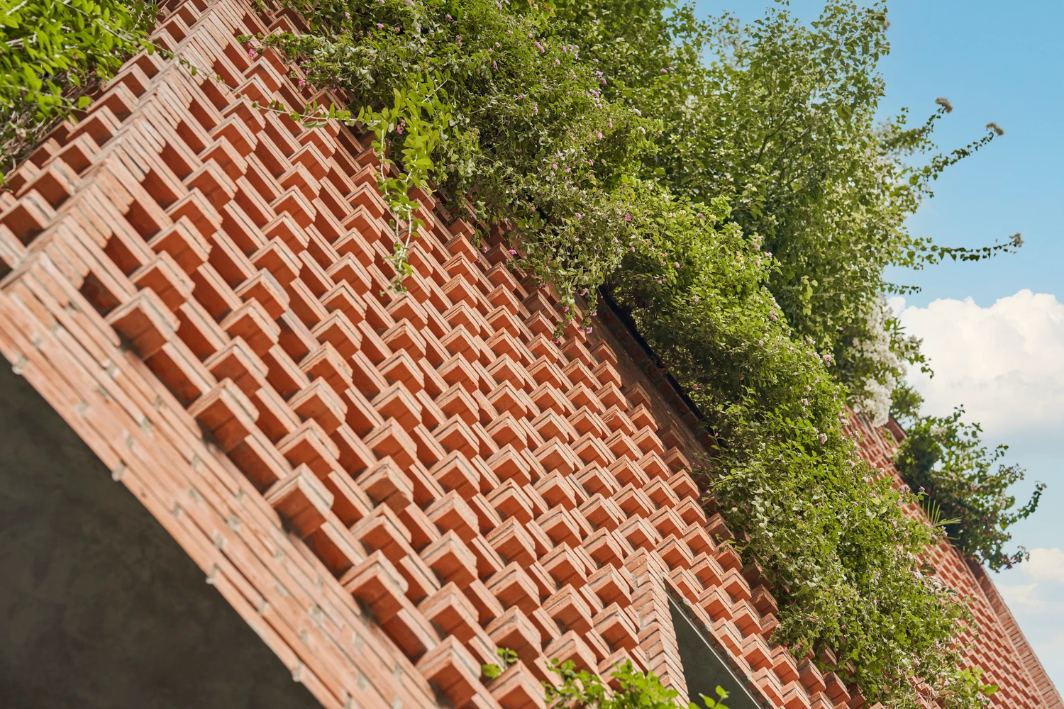 Nhà hướng Tây bọc 25.000 viên gạch so le để chống nóng 