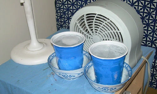 Mẹo nhỏ giúp bạn đánh bại cái nóng 40 độ