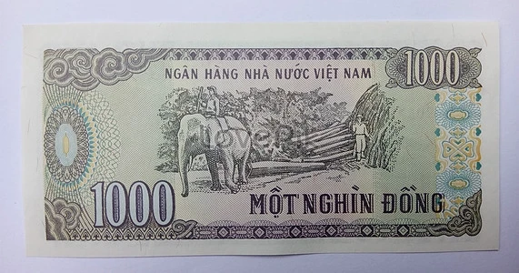Những sự thật thú vị ít biết về đồng tiền của Việt Nam 