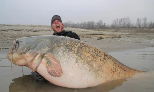 Ảnh động vật tuần: Câu được cá “quái vật”, tê giác trên đồng cỏ...