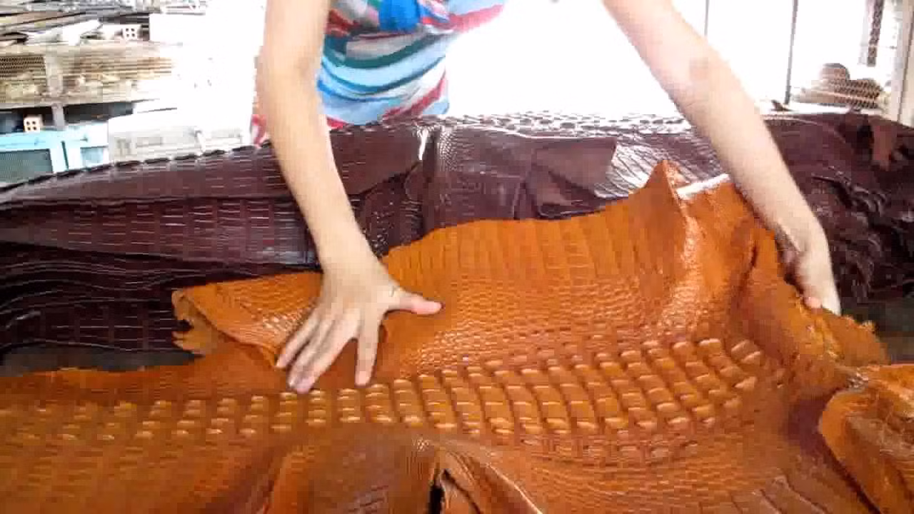 Đây là lý do túi, ví, thắt lưng... bằng da cá sấu vô cùng đắt đỏ?