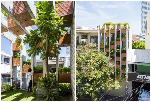 Nhà Đà Nẵng như khu nghỉ dưỡng tại gia hút hồn báo Mỹ 