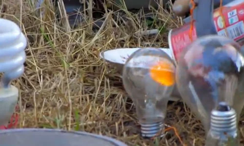 Điều gì xảy ra khi bóng đèn tương tác lò vi sóng?