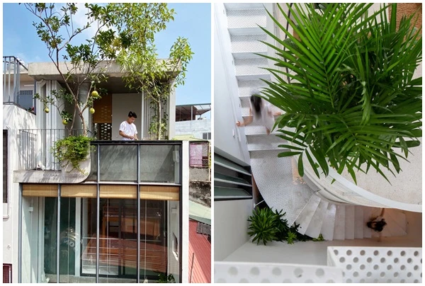 Báo Mỹ nức nở khen nhà phố nhỏ hẹp ngập ánh sáng giữa Hà thành