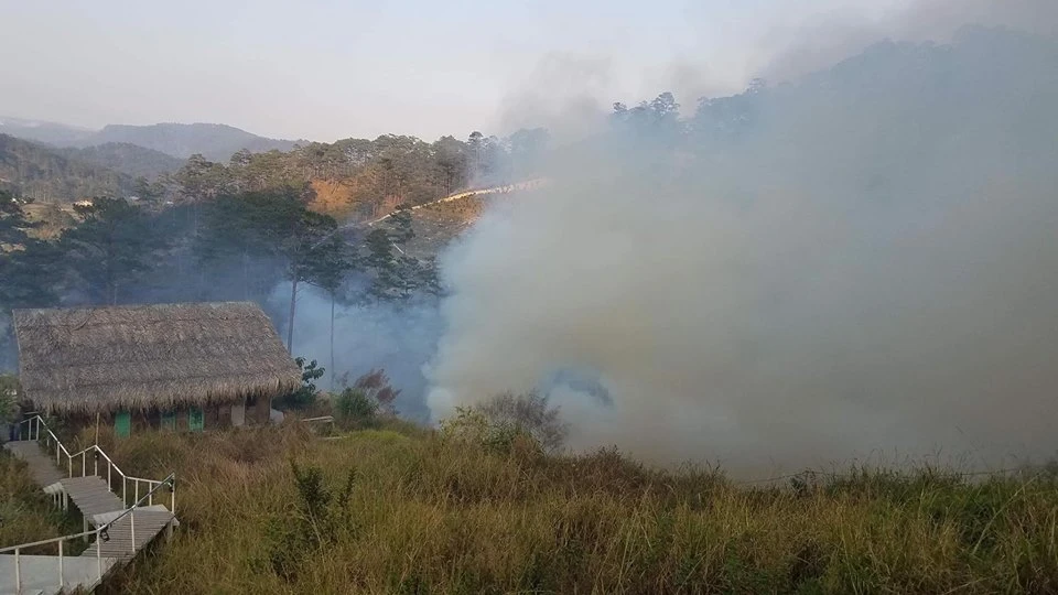 Homestay nổi tiếng Đà Lạt cháy lớn, du khách bỏ chạy tán loạn