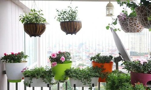 10 mẫu ban công chung cư nhỏ đẹp đầy thơ mộng