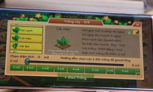 Video: Chuyện thật như đùa: Chơi game ảo thu rau thật ở Hà Nội