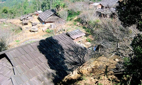 Lạ kỳ ngôi làng hàng trăm nóc nhà bằng gỗ quý tại Sơn La