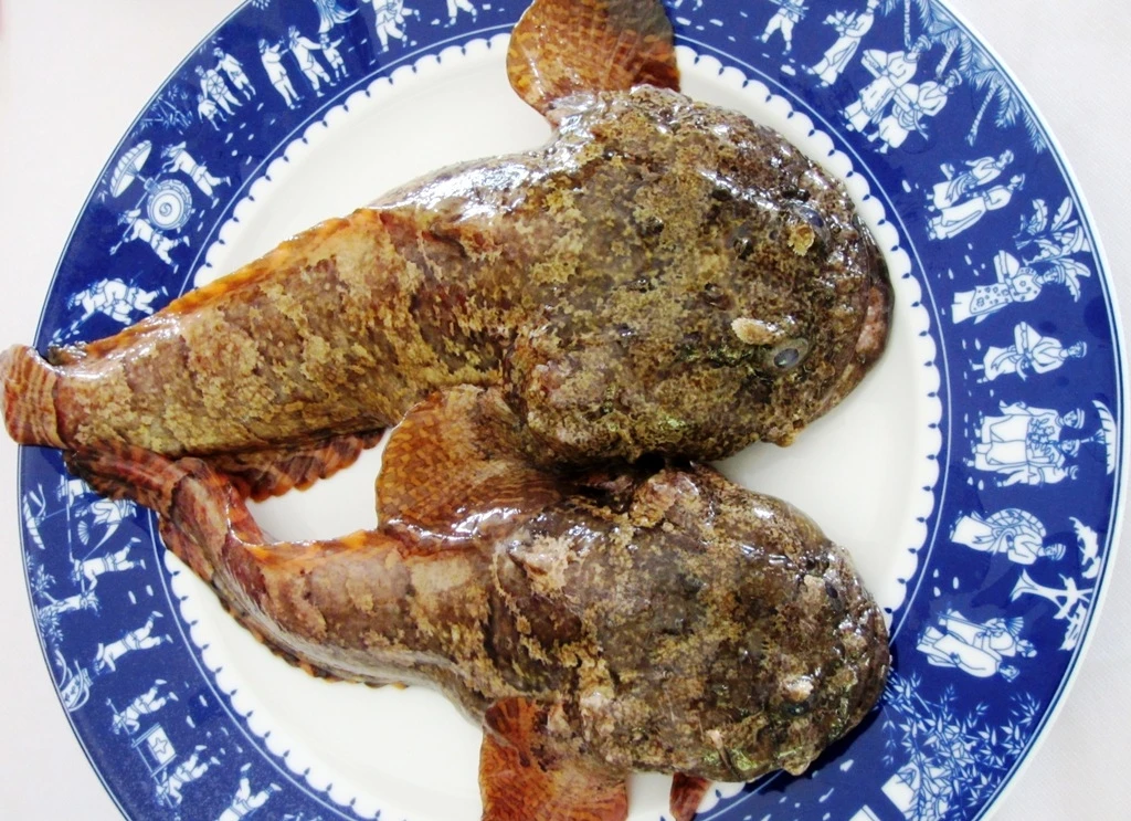 Loài cá xấu đến “rợn người” ai cũng khen ngon đắt cỡ nào?