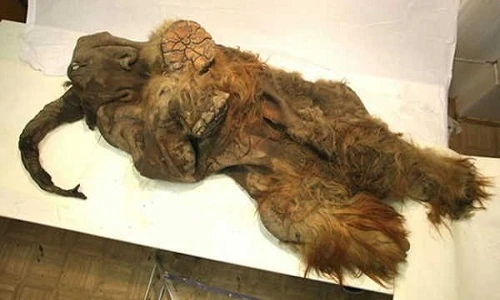 10 công việc đáng sợ nhất nước Mỹ "kiếm tiền" thế nào?