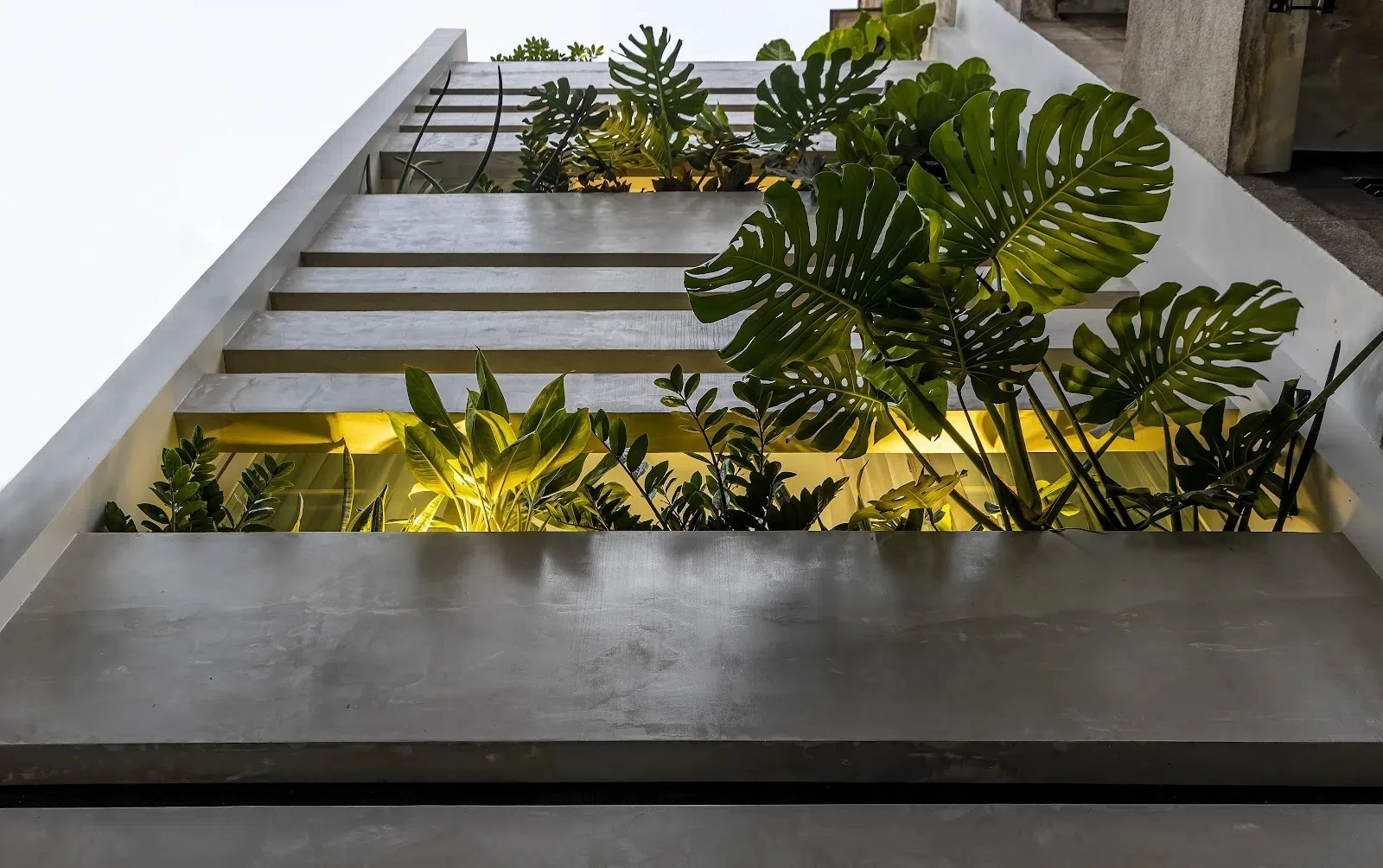 Thiết kế lệch tầng, nhà trong hẻm vẫn ngập tràn ánh sáng