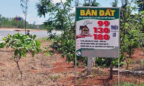Ảnh: Biển rao bán đất trên cây dọc đường vành đai Buôn Ma Thuột