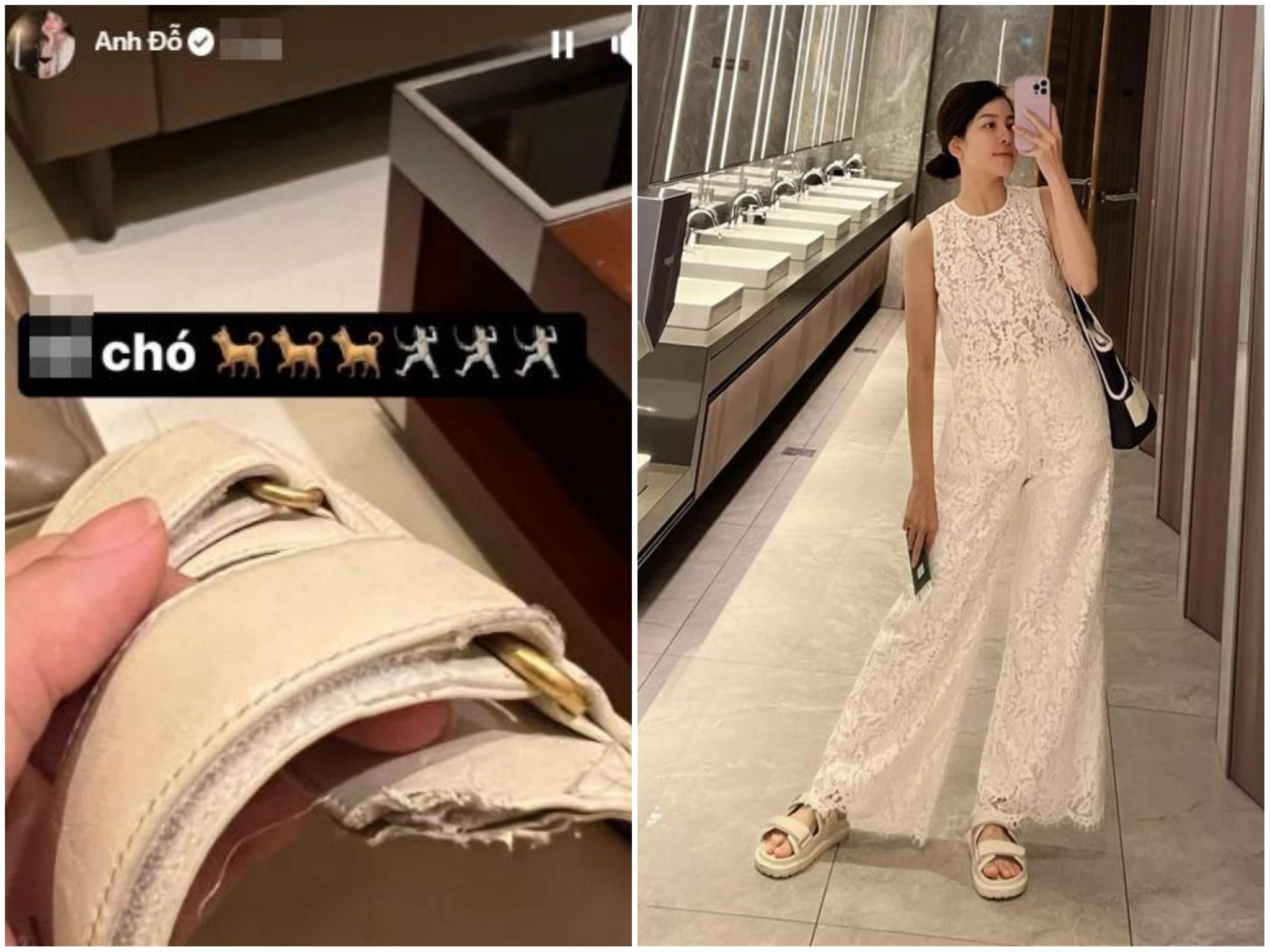 Trâm Anh khóc ròng khi chó cưng cắn tan nát đôi dẹp hàng hiệu