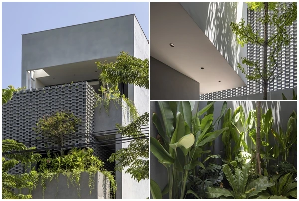 “Bọc” vỏ nhiệt đới bên ngoài, nhà phố mát rượi không cần điều hòa