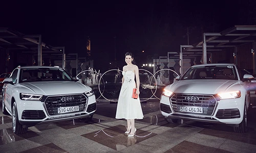 Dàn sao Việt "show hàng" bên xế hộp Audi tiền tỷ 